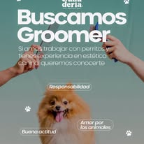 Vacante para groomer